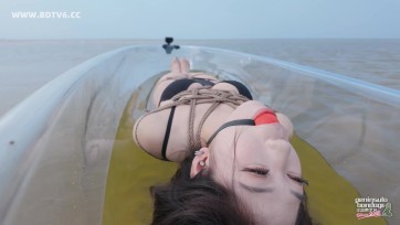【半岛束艺台】【泽爱】让我们荡起驷马