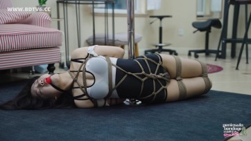 【半岛束艺台】【海语】狸花劫